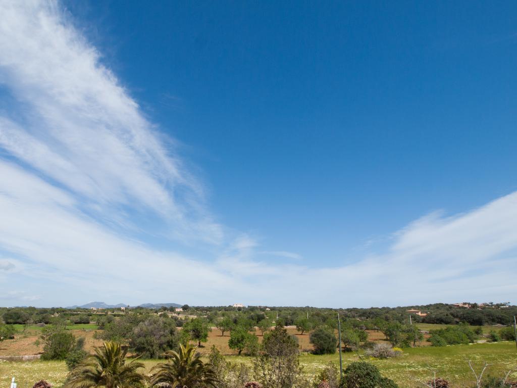 Agroturismo S Hort De Can Carrio Ag226 เซส์ซาลิเนส ภายนอก รูปภาพ